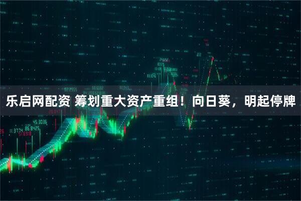乐启网配资 筹划重大资产重组！向日葵，明起停牌
