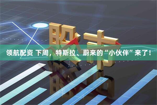 领航配资 下周，特斯拉、蔚来的“小伙伴”来了！