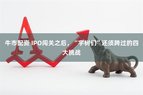 牛市配资 IPO闯关之后，“宇树们”还须跨过的四大挑战
